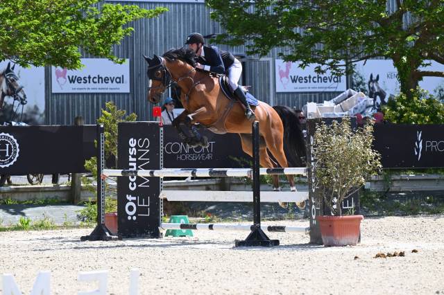 Hongre 9 ans – 1m67