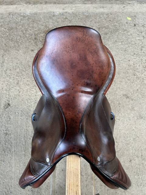 Selle gbs 16,5 pouce 