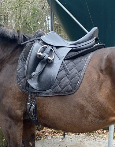Selle de dressage équipe emporio 17,5 pouces
