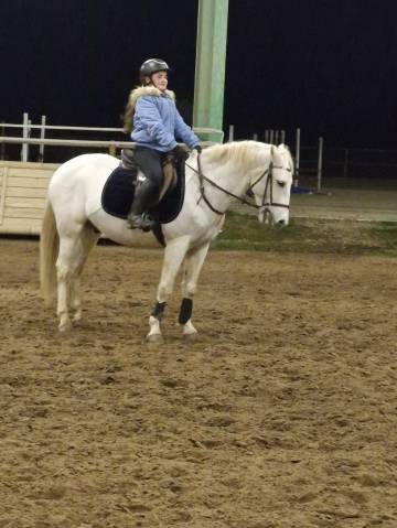 Demi pension poney camargue