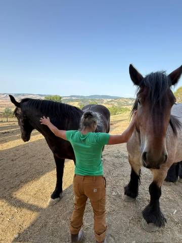 Rejoignez notre domaine agricole dans le val d’orcia