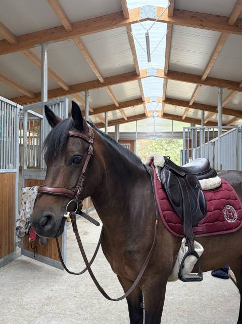 à vendre espoir d eponnads