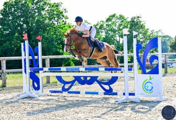 Superbe ponette c, championne de france 