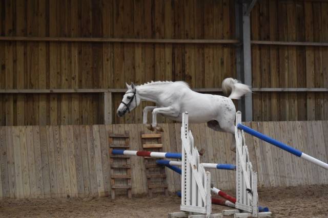 Ponnette de sport