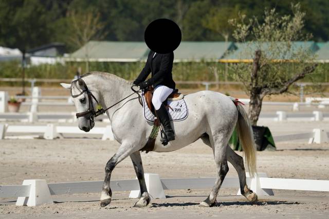 Ponette connemara 10 ans
