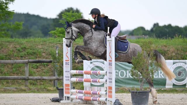 Top poney rans