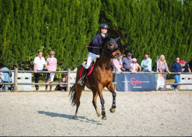 Jument ps 6 ans