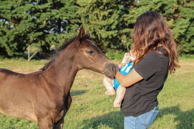 Et si vous partiez en vacances avec vos chevaux?