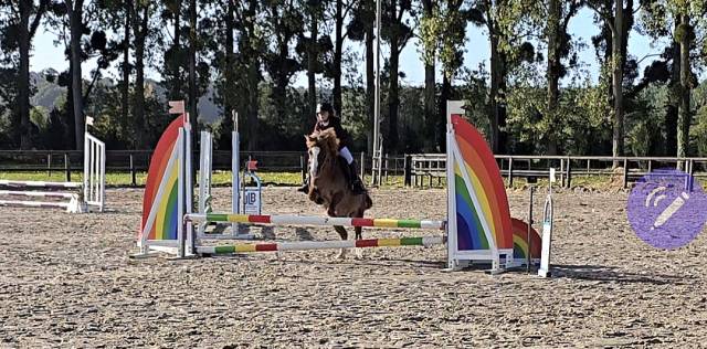 Poney b