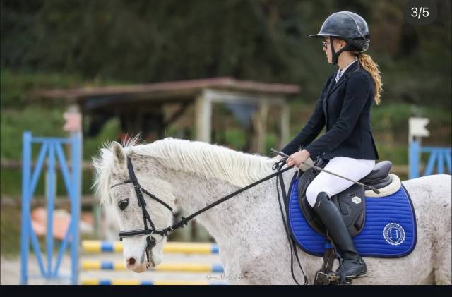 Poney à vendre