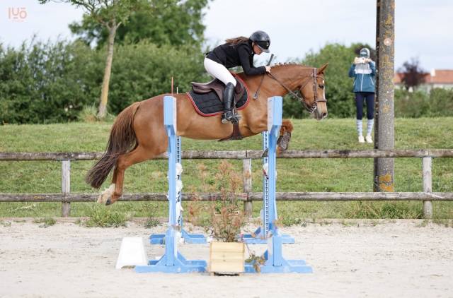 Ponette d 6 ans a vendre ou a louer