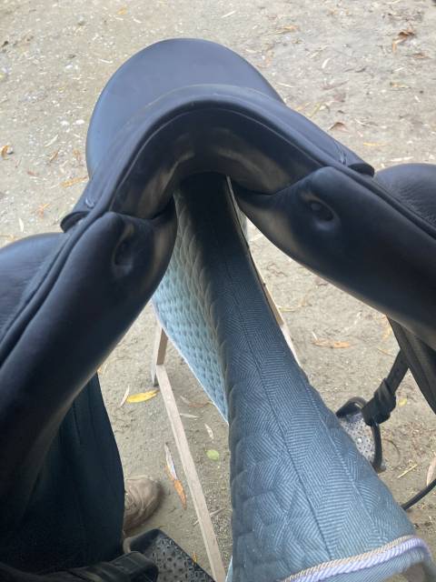 Selle forestier aachen