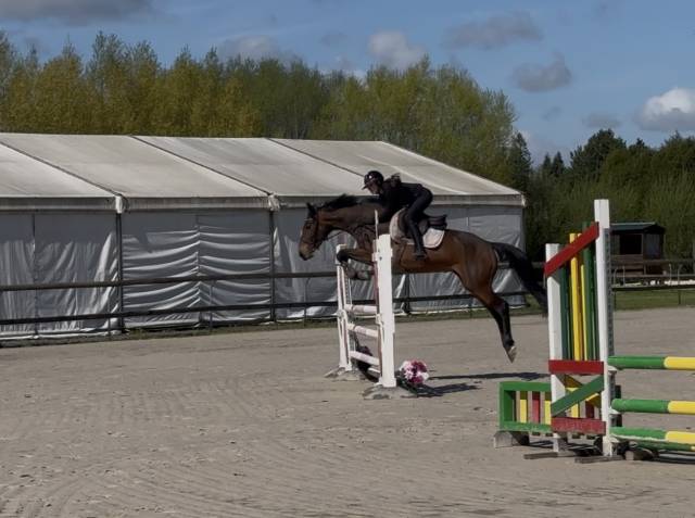 Top jument 4ans