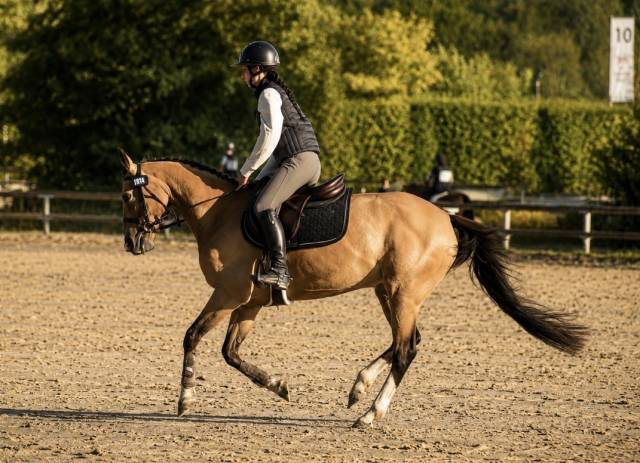 Ponette d sport