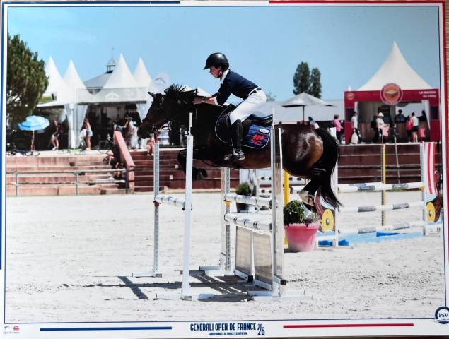 Poney de sport