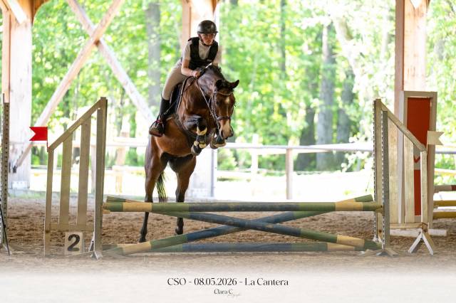 Ponette pfs sport 4 ans