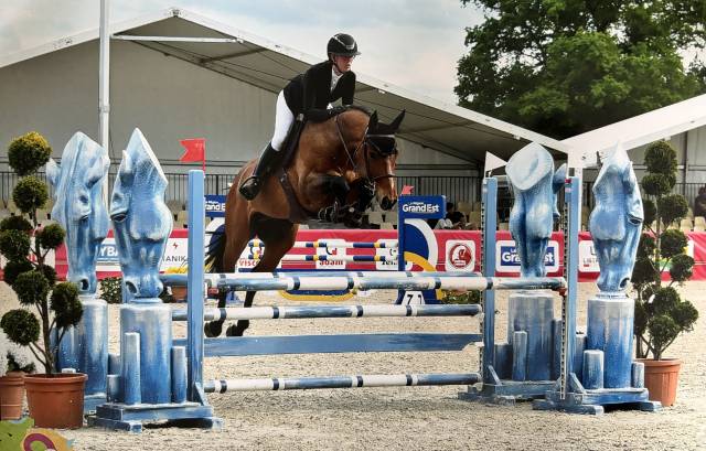 Hongre 7 ans malito de rêve cso classe 115