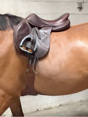 Selle antarès connexion 17,5 – 3a+2 – 2022