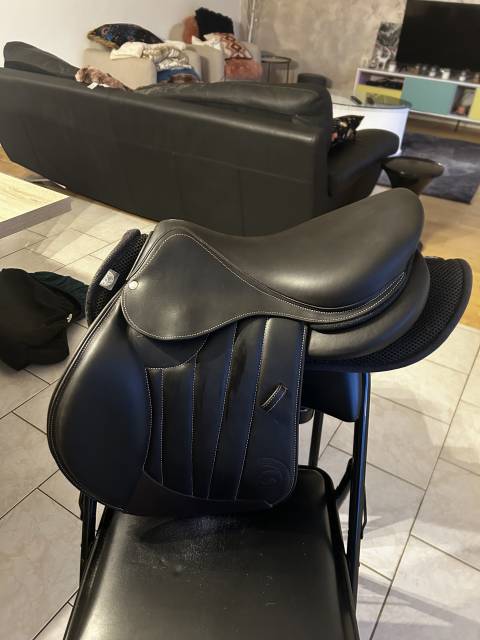 Selle forestier 2025 châtaigne 