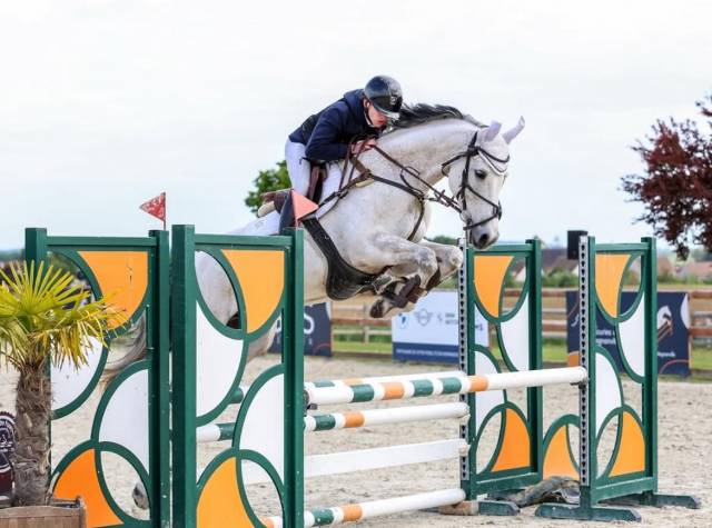 Chevaux d'enseignant de à prendre en dp 91 itteville