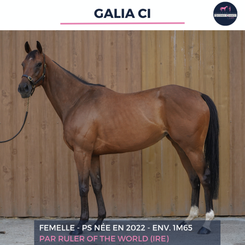 Galia ci - ps - 4 ans