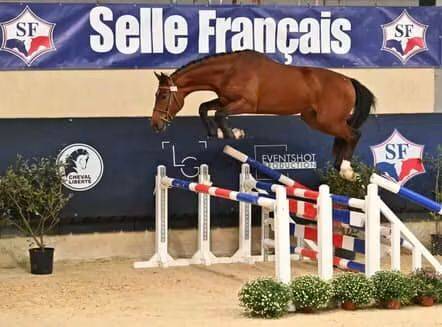 Pouliche supers origines sport