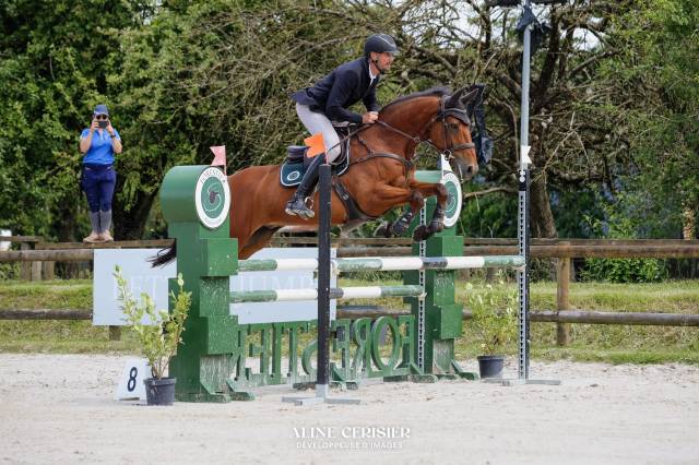Hongre de 9 ans baie 1m68