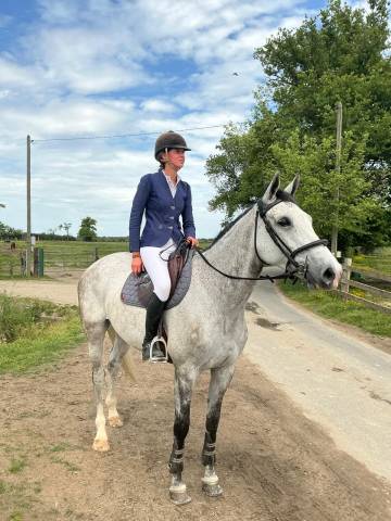 A vendre jument 7ans  sf untouchable 27 x for pleasure
