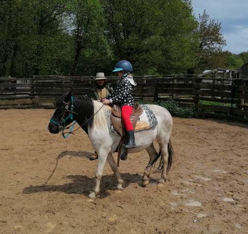 Rina – adorable ponette pie 127cm, 19 ans