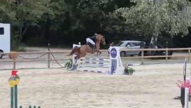 Jument 6 ans - prête cso amat 3 potentiel ++