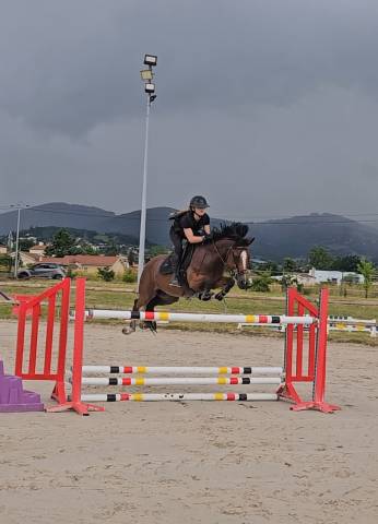 Pfs hongre 9 ans - p elite as2