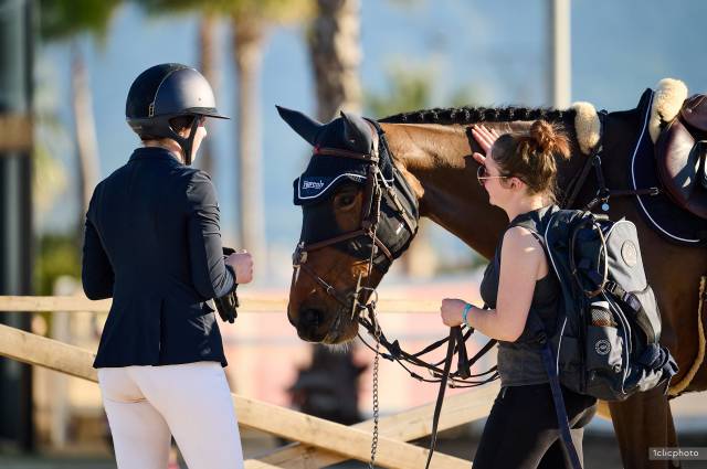 Groom freelance – concours/ remplacements ponctuels