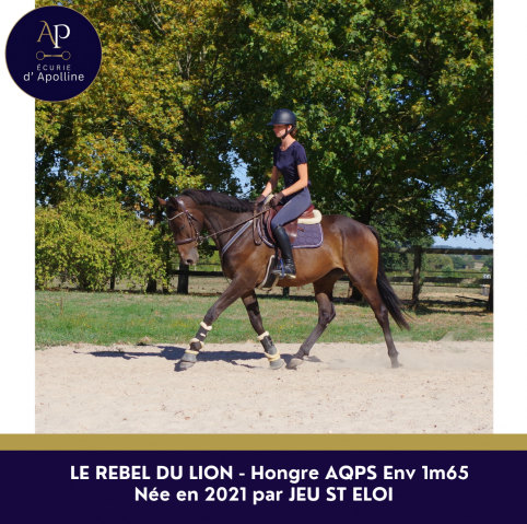 Aqps 5 ans beau modèle 
