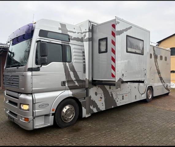 Camion pl chevaux man