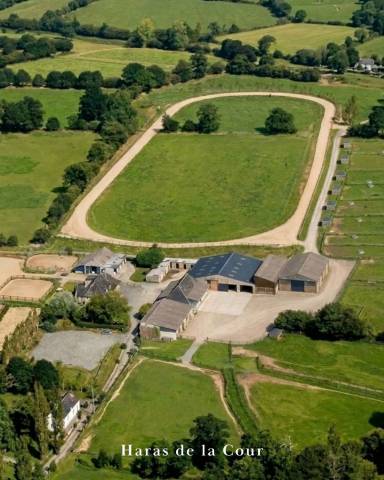 Haras de la cour | pension équine depuis 1965