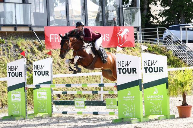 Paladin loy – hongre sbs pie bai – 5 ans – 1,63 m