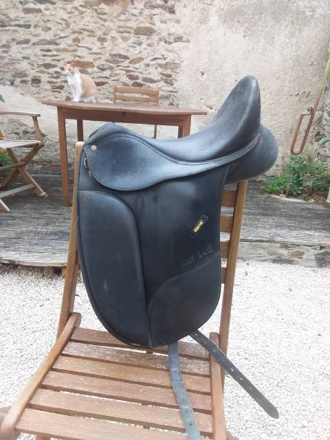 Selle isabell werth 16,5