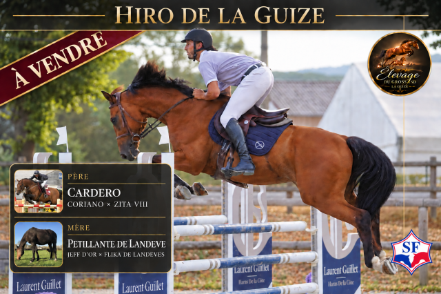 Hiro de la guize 