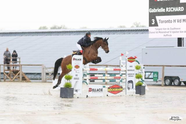 Cheval de 7 ans gagnant sur les épreuves de 6 ans 