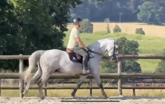 ✨ kalie royale du bois ✨