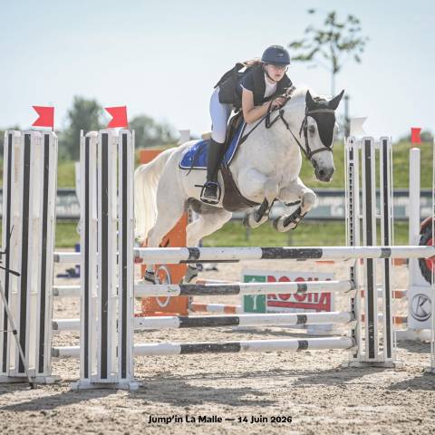 Poney d maître d’école