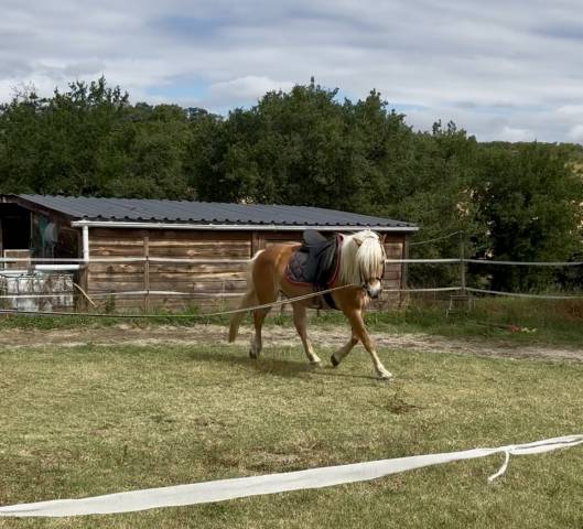 Demi-pension loisir sur ponette