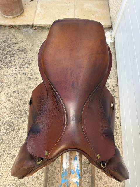 Selle terry’s