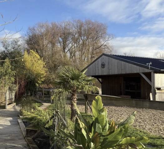 Le touquet, résidence secondaire, barn's et pâture