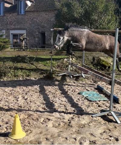 Pfs taille b 5 ans par greatstar