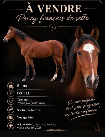 Pfs 5 ans petit d