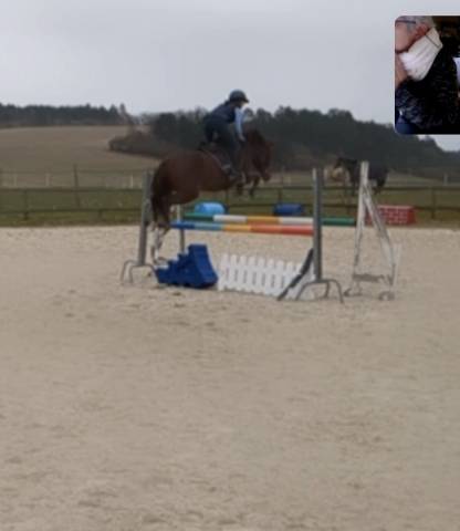 Ponette nf 146cm, 5 ans moyens pour les as.