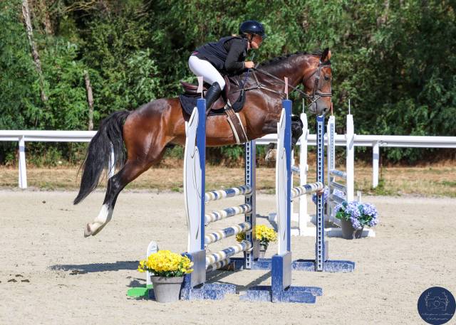 Mâle pfs 5 ans 