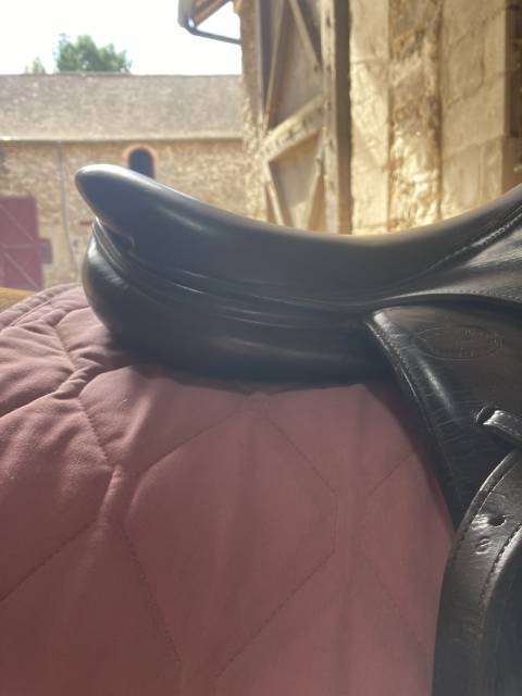 Selle chiberta o