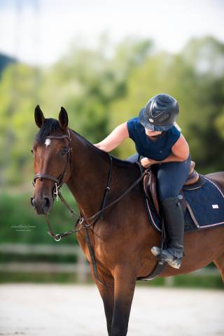 Cheval de sport
